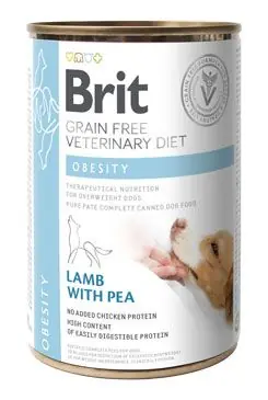 Výprodej Brit VD Dog GF konz. Obesity 400g