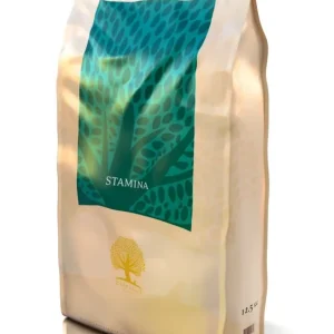 Pouze Dnes ESSENTIAL FOODS Stamina 10kg