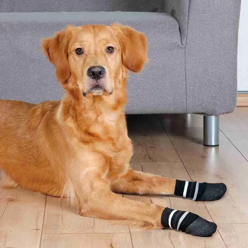 TRIXIE Protiskluzové ponožky černé, 2 ks pro psy bavlna/lycra S-M např. sheltie Oblíbený
