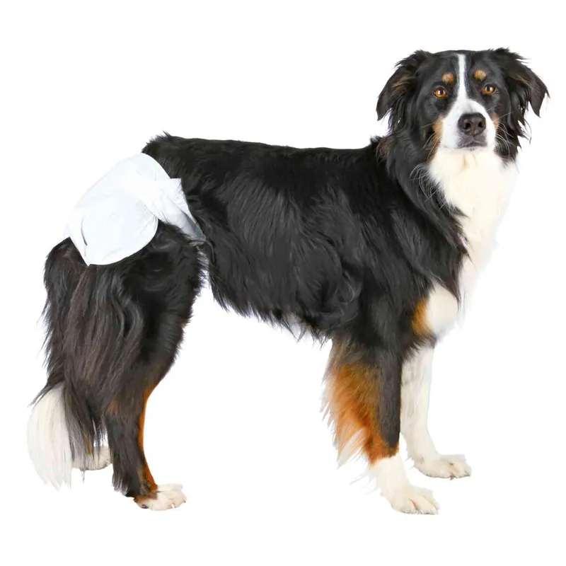 Tovární Cena TRIXIE Papírové pleny pro feny (12 ks/bal.) XL 40-58 cm