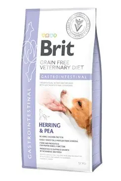 Akce Brit VD Dog GF Gastrointestinal 12kg