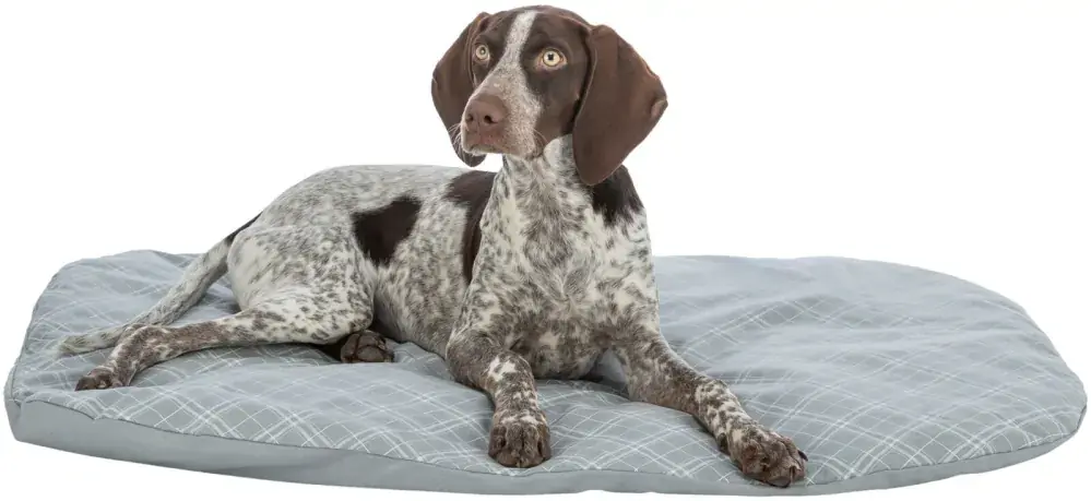 TRIXIE Oválný polštář JESSIE, bavlna/polyester, šedá/bílá 110 x 80 cm Bezpečná Platba