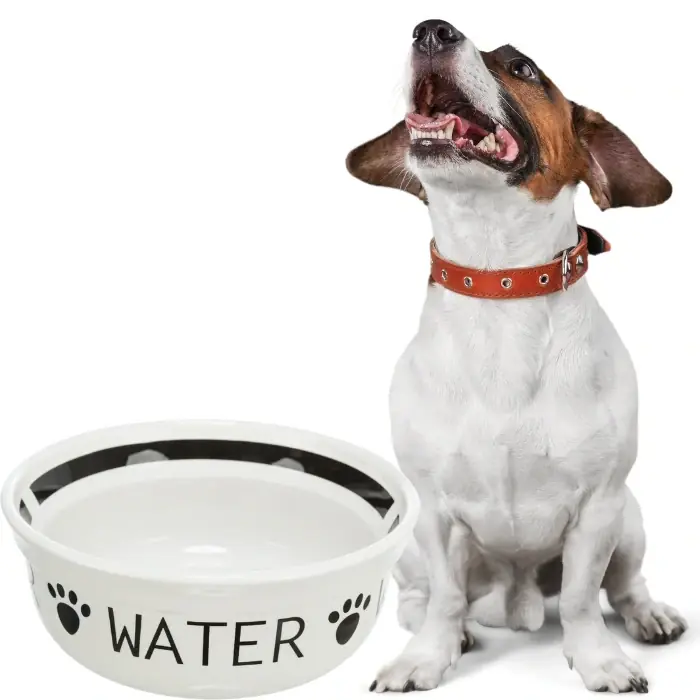 TRIXIE Keramická miska WATER, bílá/černá 1,6 l/ ø 20 cm Sezónní Sleva