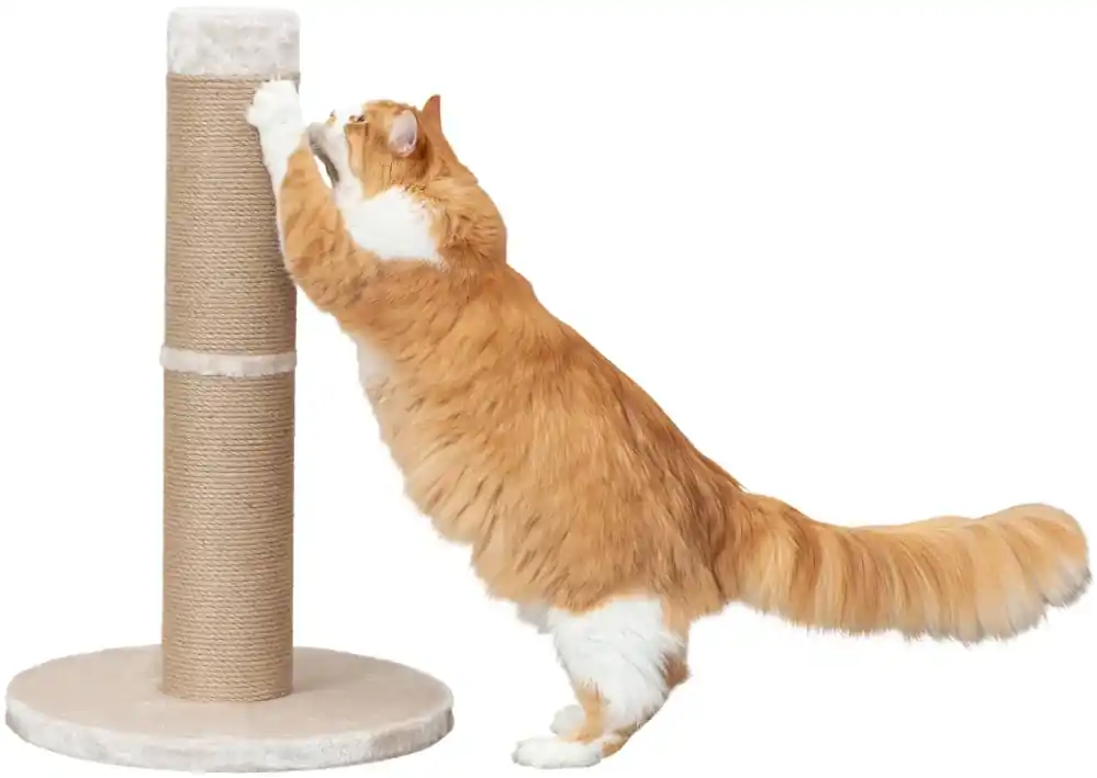 TRIXIE XXL škrábadlo RUE, ø 15 cm/80 cm, béžová Víkendová Akce