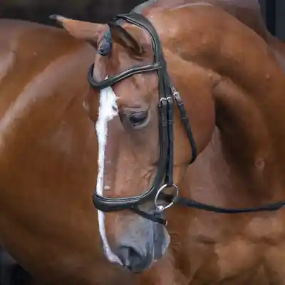 Uzdečka SHIRES VELOCITI Rapida Ergonomic Curved - Barva HavanaVelikost PONY Sezónní Sleva