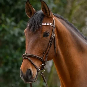 Čelenka X-Line brown Waldhausen Akční Cena