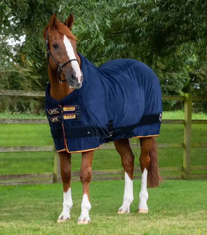 Objednat Nyní Odpocovací deka Buster Premier Equine - Barva ČernáVelikost 6" (135cm)
