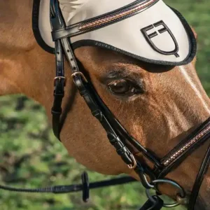 Čabraka EQUESTRO GP Logo - Barva béžová/černáVelikost FULL Odeslání Ihned