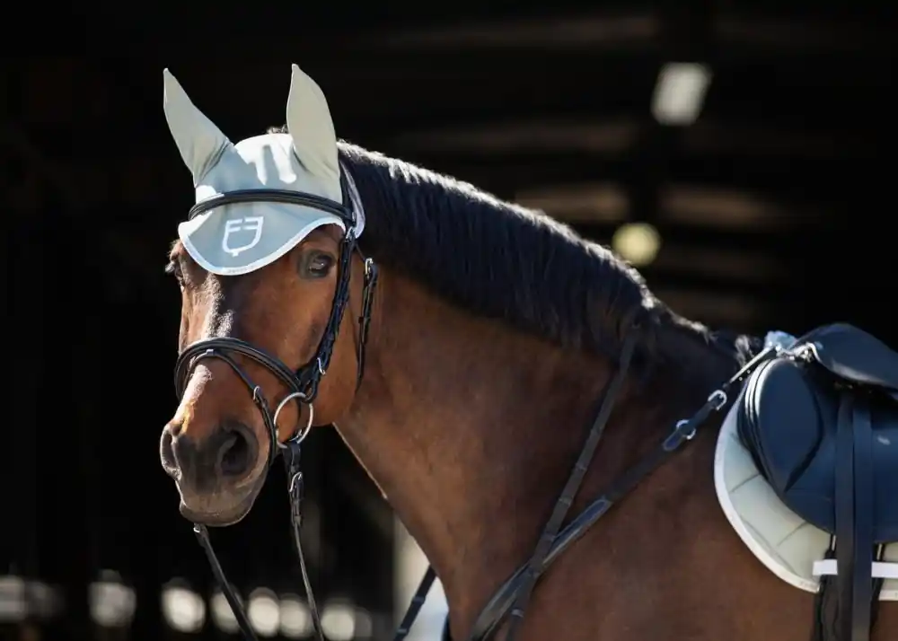 Bezpečná Platba Čabraka EQUESTRO GP Logo - Barva sv. zelená/bíláVelikost COB
