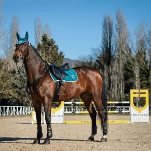 Čabraka EQUESTRO GP Logo - Barva Petrol/bíláVelikost PONY Víkendová Akce