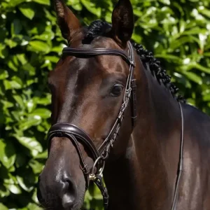 Uzdečka Premier Equine Cassano - Barva HnědáVelikost xFULL Ihned K Objednání