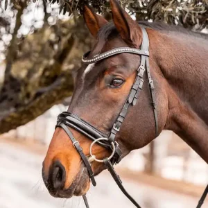 Levný Čelenka Horze Wicklow - Barva stříbrnáVelikost PONY