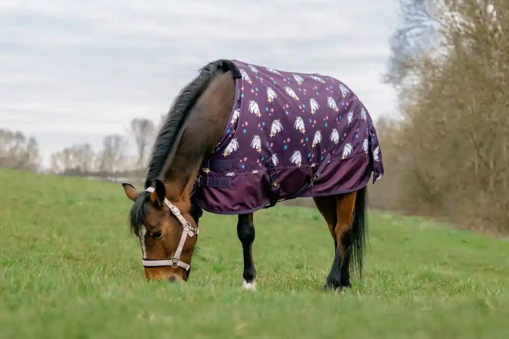 Nepromokavá deka pro pony EQUITHÈME Licorne 600D - Velikost 105 cm Akční Cena