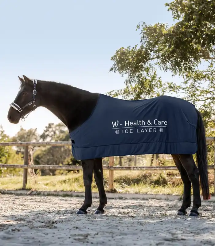 Chladící deka Waldhausen W-health & care Ice Layer - Barva Tmavě modráVelikost 155 cm Horká Nabídka