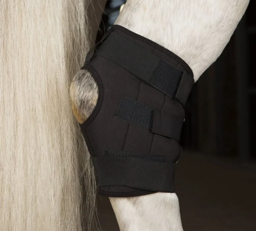 Vysoce Kvalitní Cirkulační hlezenní chránič pro koně INCREDIWEAR EQUINE - Velikost Levá