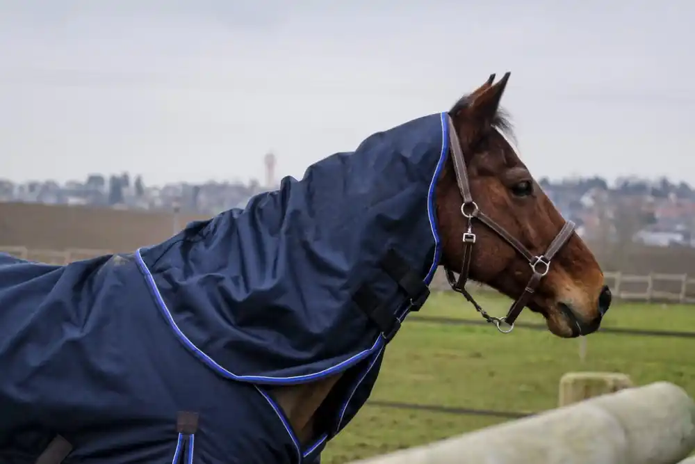 Nejprodávanější Nepromokavý krční díl k dece EQUITHÈME Classic 1200D - Velikost FULLTyp 0g