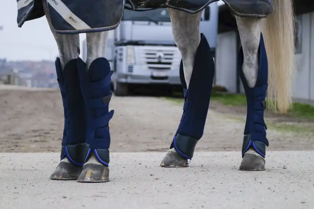 Přepravní kamaše pro koně EQUITHÈME CLASSIC Originální