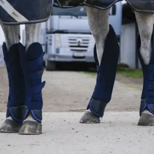 Top Prodej Přepravní kamaše pro koně EQUITHÈME CLASSIC - Velikost PONY