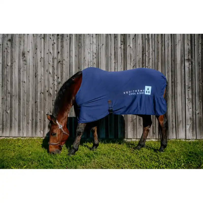 Cool&dry deka Fresh EQUITHEME - Velikost 135 cm Jen Po Omezenou Doba