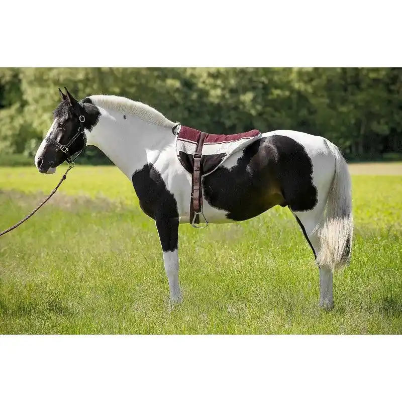 Jezdecký pad NORTON BAREBACK Omezená Nabídka