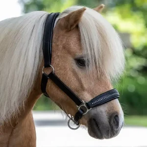 Kožená ohlávka STAR Diamond Víkendová Akce