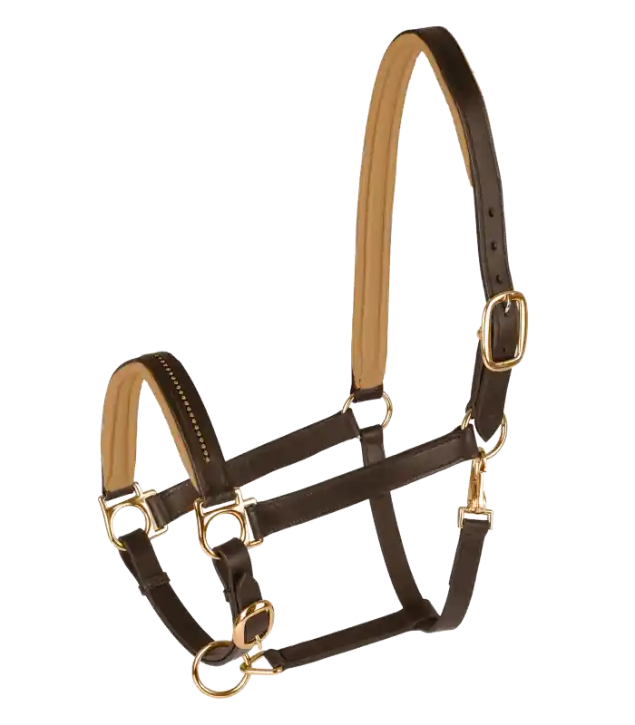 Autentický Kožená ohlávka STAR Diamond - Barva hnědá/zlatáRozměr PON (Pony)