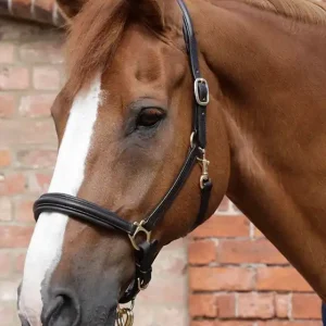 Kožená stájová ohlávka Premier Equine - Barva ČernáVelikost xFULL Must-Have