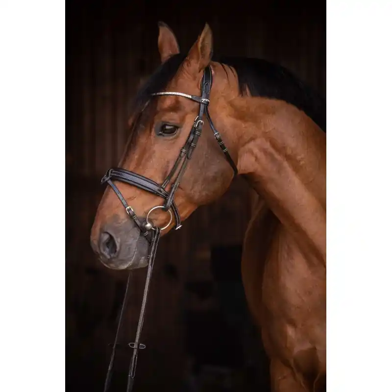 Kožená uzdečka Daily Strass PENELOPE - Barva ČernáVelikost COB Rychlé Dodání