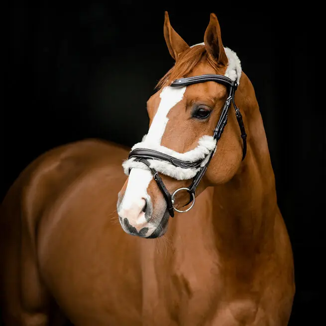 Kožená uzdečka Horze Rome Anatomic - Barva HnědáVelikost PONY Přímo Od Výrobce