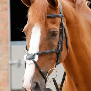 Autentický Kožená uzdečka Premier Equine Glorioso - Barva ČernáVelikost xFULL
