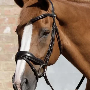 Kožená uzdečka Premier Equine Rizzo Speciální Cena