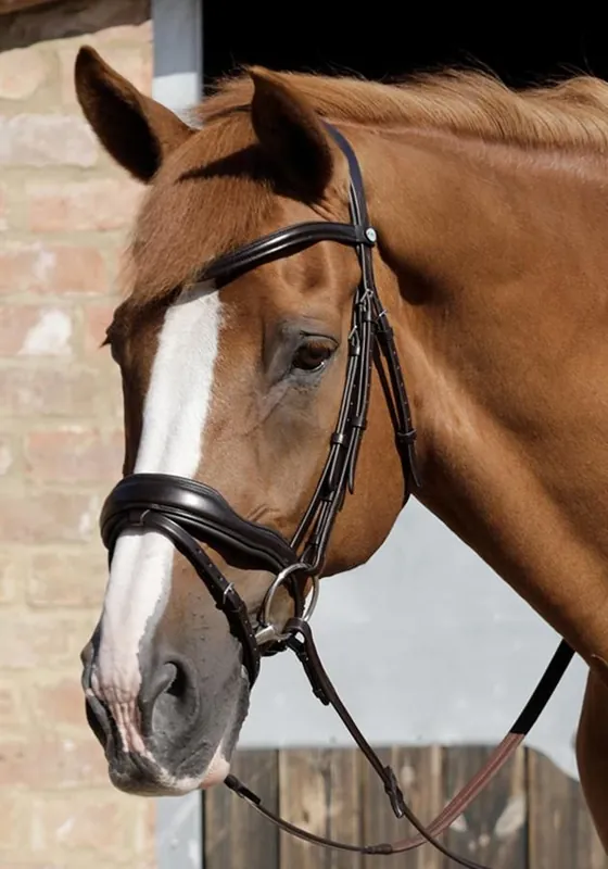 Kožená uzdečka Premier Equine Rizzo Speciální Cena