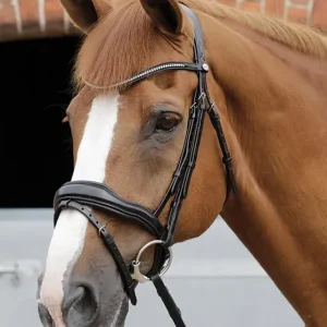 Přímo Od Výrobce Kožená uzdečka Premier Equine Stellazio Anatomic - Barva HnědáVelikost COB