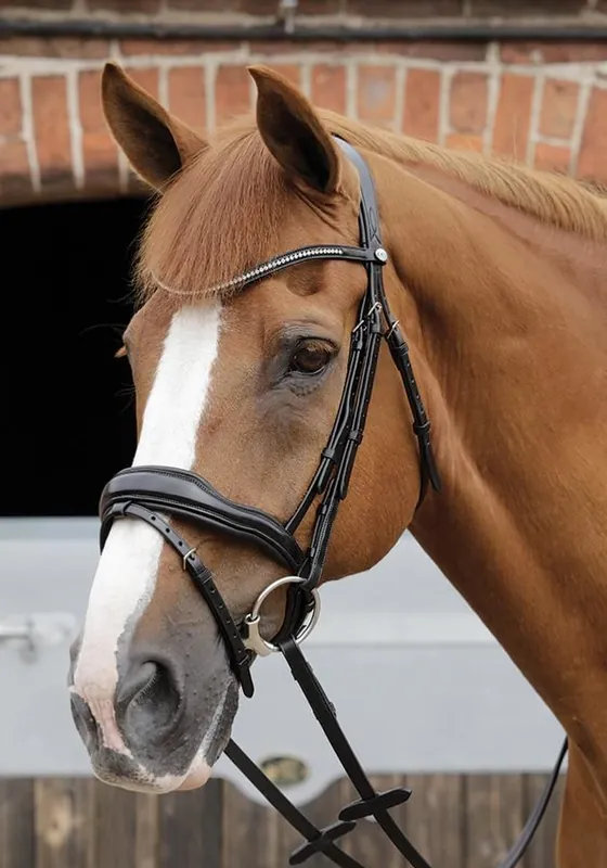 Ověřený Kožená uzdečka Premier Equine Stellazio Anatomic - Barva ČernáVelikost xFULL