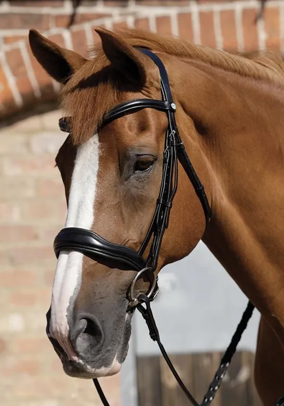 Kožená uzdečka Premier Equine Verdura - Barva HnědáVelikost PONY Ověřený