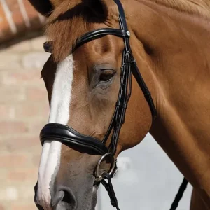 Objednat Nyní Kožená uzdečka Premier Equine Verdura - Barva HnědáVelikost COB