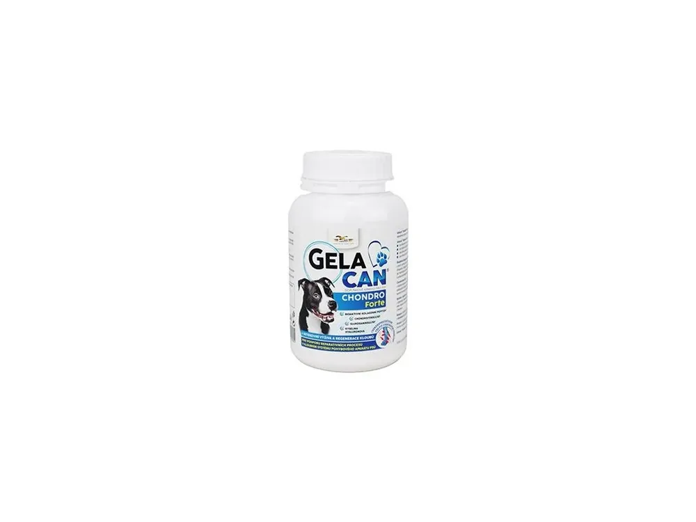 Gelacan Chondro Forte 150g Koupit Online