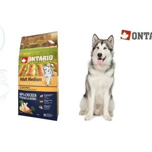 Omezená Nabídka Ontario Adult Medium Chicken & Potatoes 12 kg
