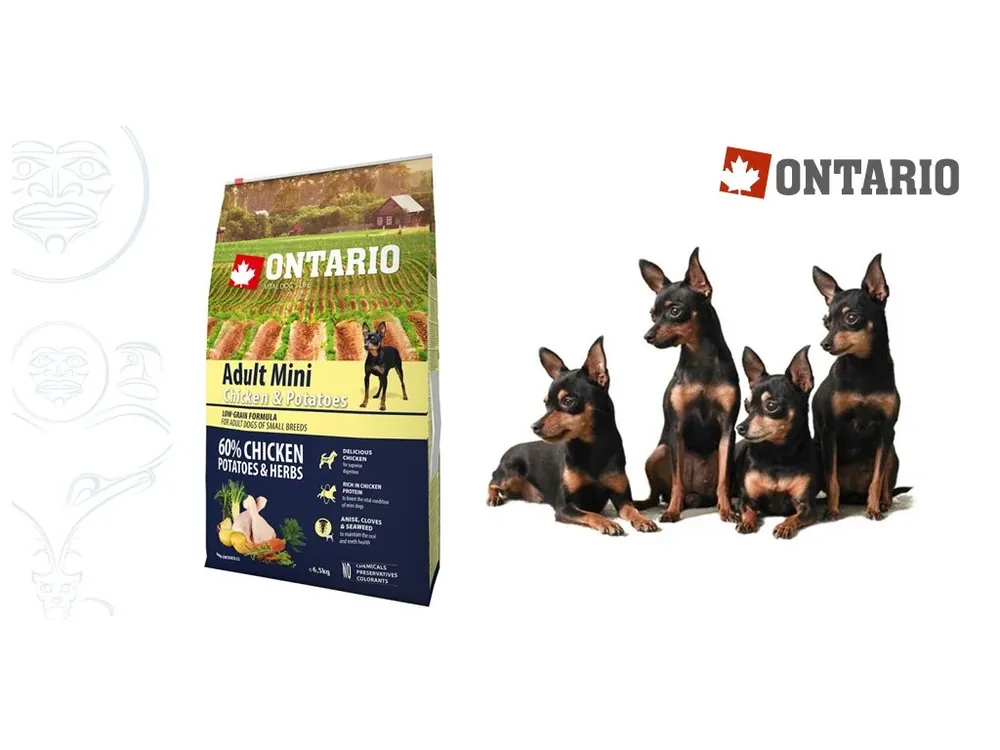 Ontario Adult Mini Chicken & Potatoes 2,25 kg Akční Nabídka