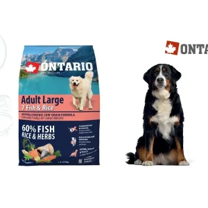 Ontario Adult Large Fish & Rice 2,25kg Akční Cena