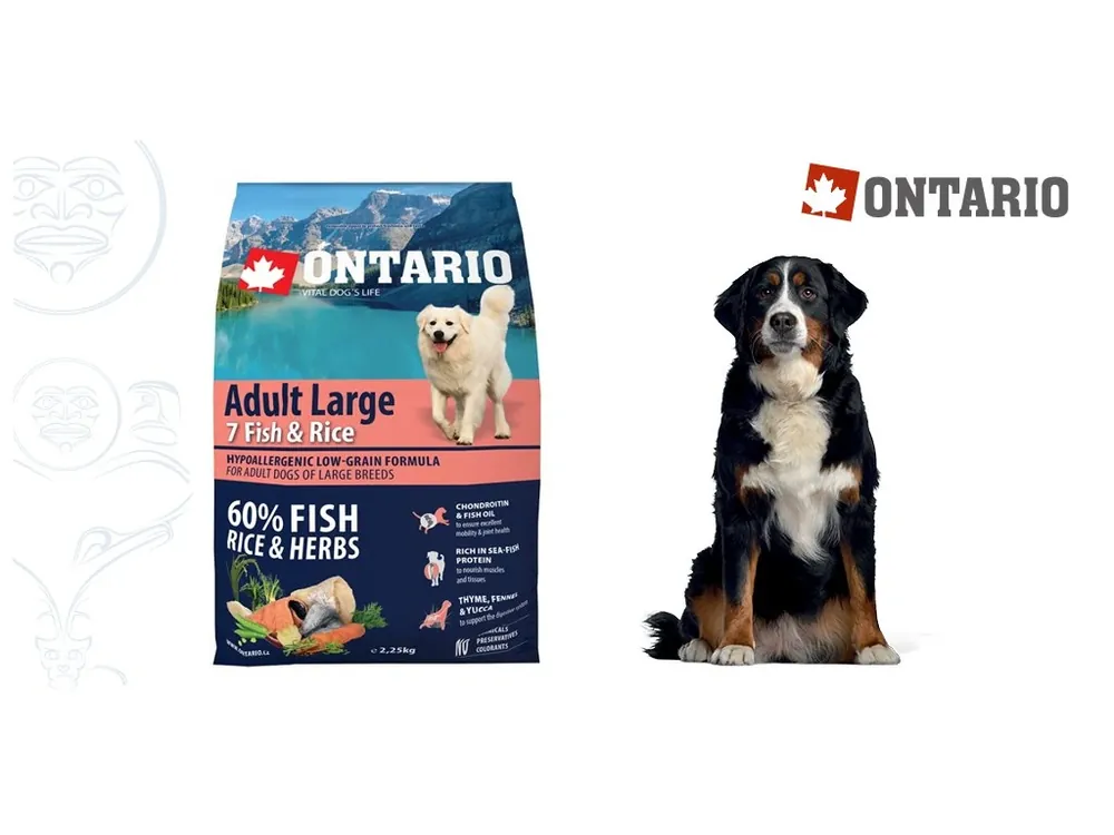 Ontario Adult Large Fish & Rice 2,25kg Akční Cena