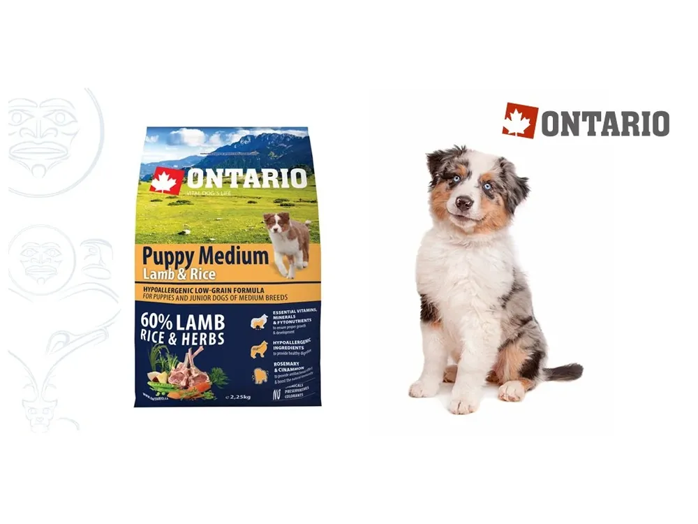 Ontario Puppy Medium Lamb & Rice 2,25 kg Výhodná Nabídka